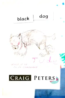 Black Dog poster