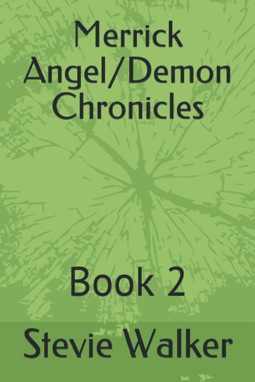 Merrick Angel/Demon Chronicles: Book 2 poster