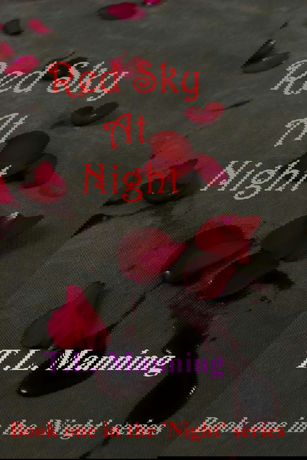 Red Sky At Night poster