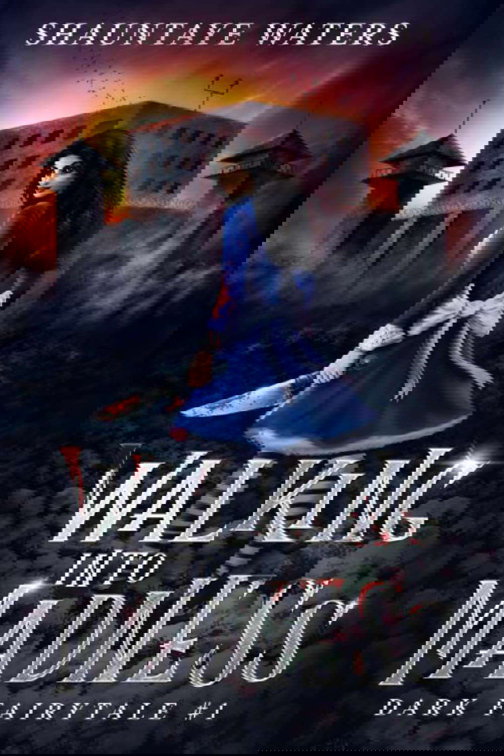 Walking Into Madness: Dark Fairytale Book 1 poster