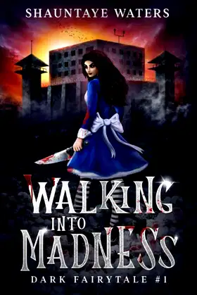 Walking Into Madness: Dark Fairytale Book 1 poster