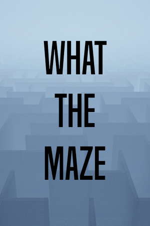 What The Maze poster