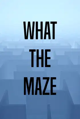 What The Maze poster