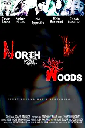 North Woods poster