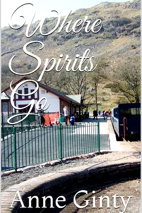 Where Spirits Go (A series of murder mysteries set in the Lakes.) poster