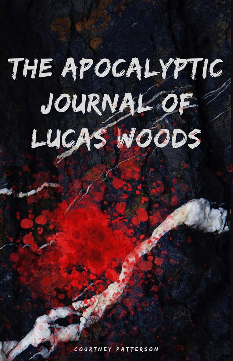The Apocalyptic Journal Of Lucas Woods poster
