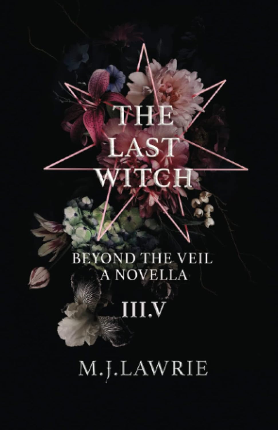 The Last Witch: 3.5: Beyond The Veil. A Novella poster