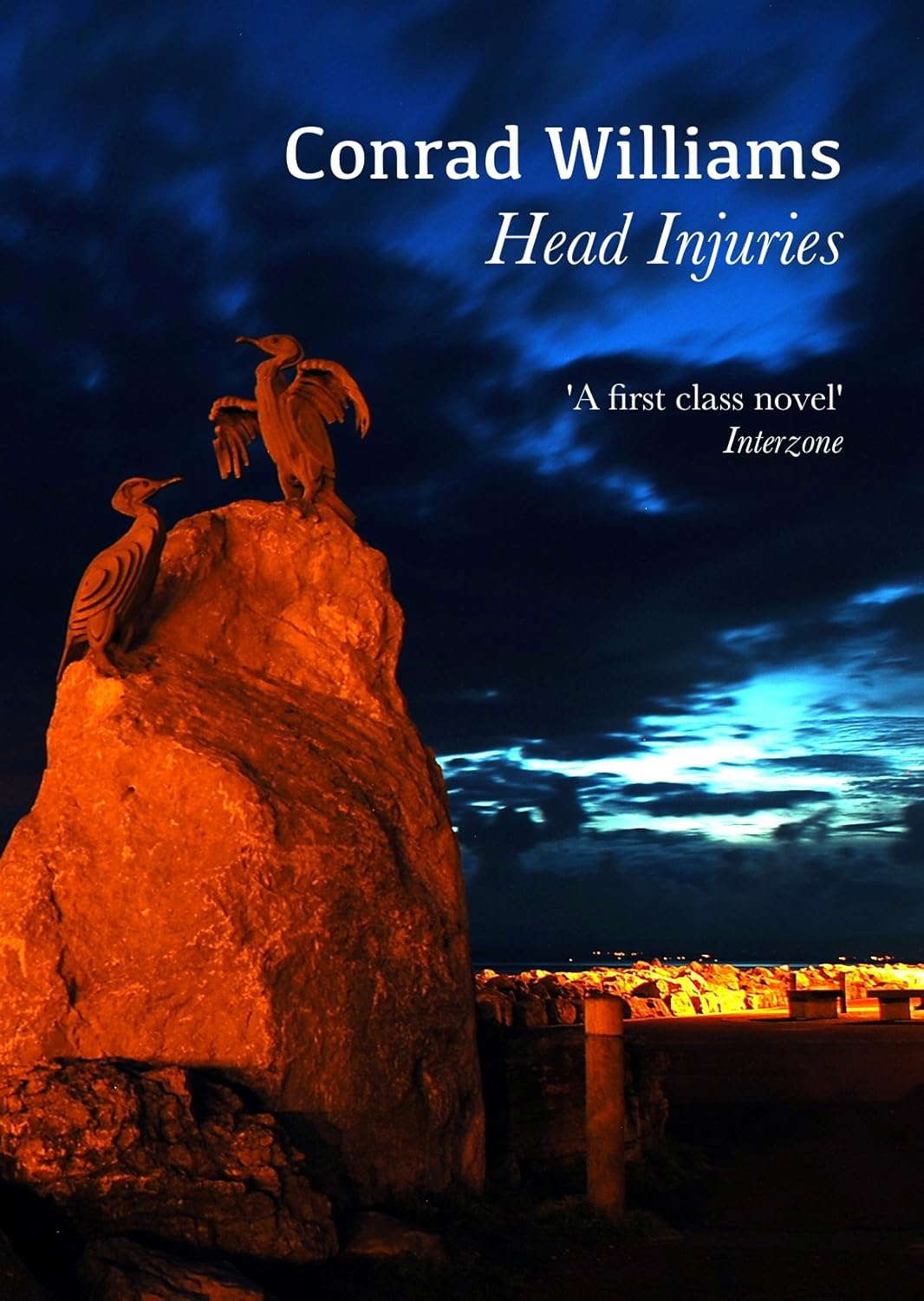 Head Injuries poster