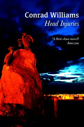 Head Injuries poster