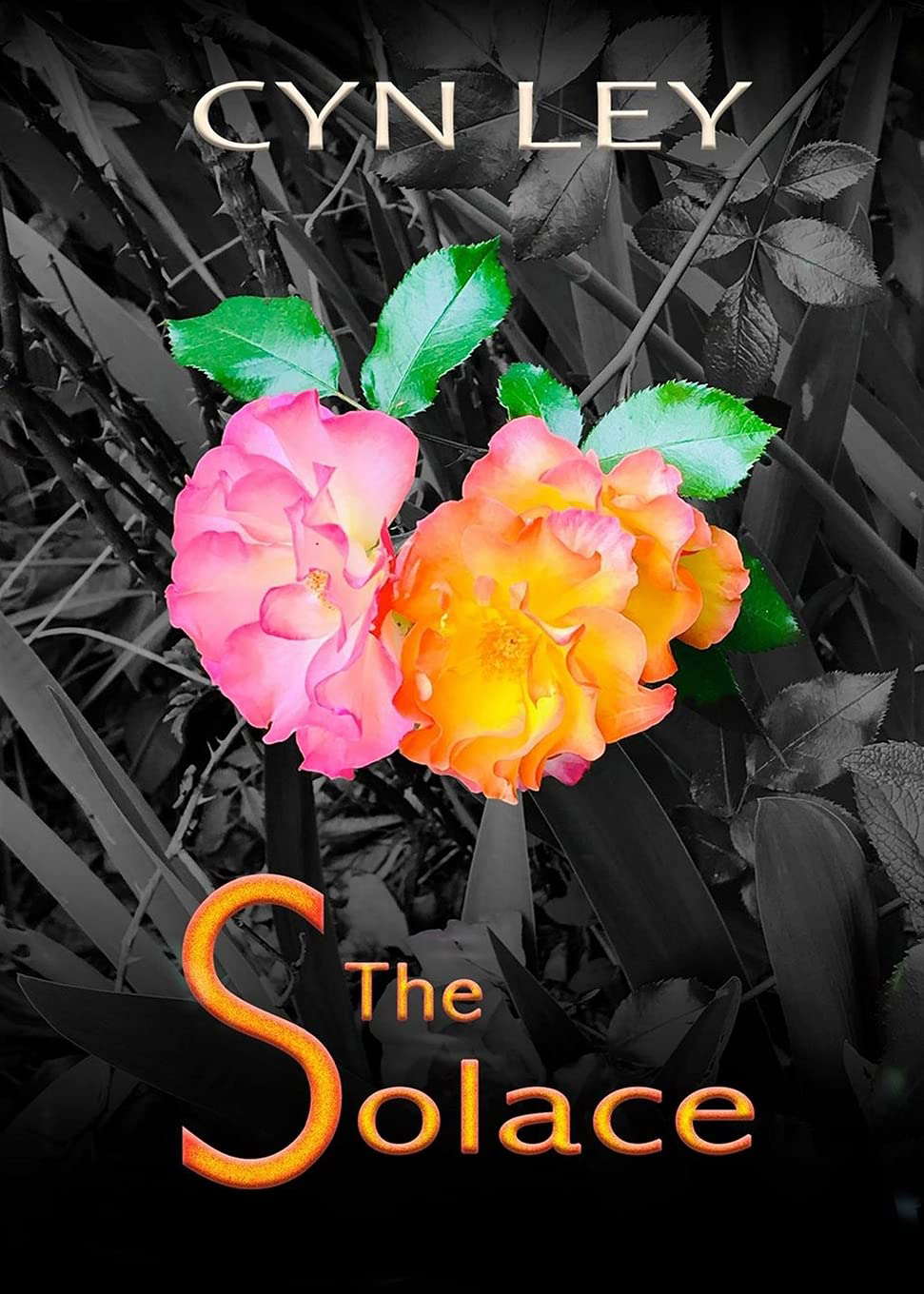 The Solace poster