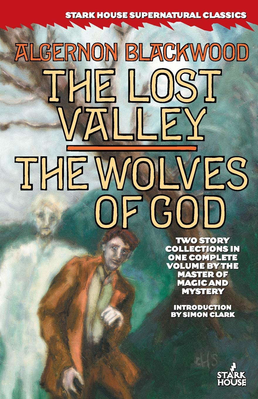 The Lost Valley / The Wolves of God poster