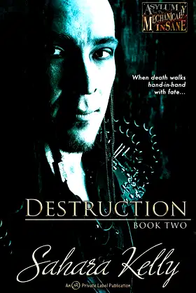 Destruction (Asylum for the Mechanically Insane) poster