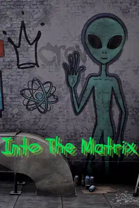 Into The Matrix poster
