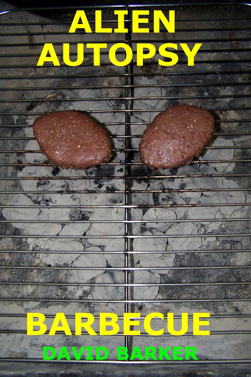 Alien Autopsy Barbecue -- A Bizarro Science Fiction Story poster