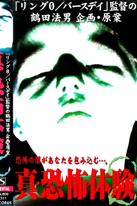 True Horror Experience 2 poster