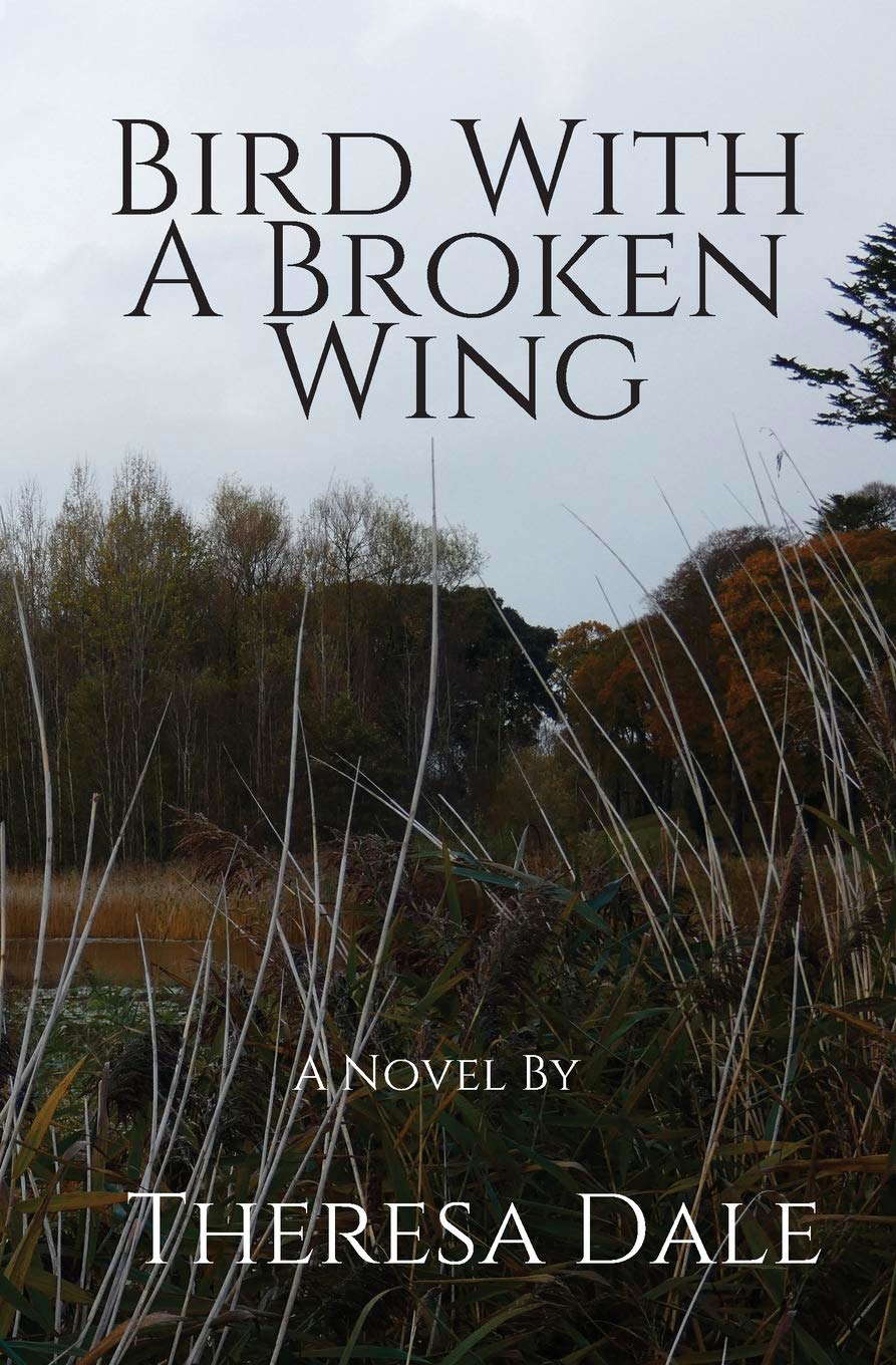 Bird With A Broken Wing poster
