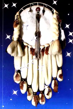 DREAMS ARE LIE'S ILLUSIONS poster