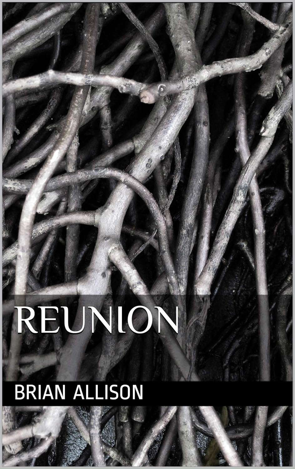 Reunion poster