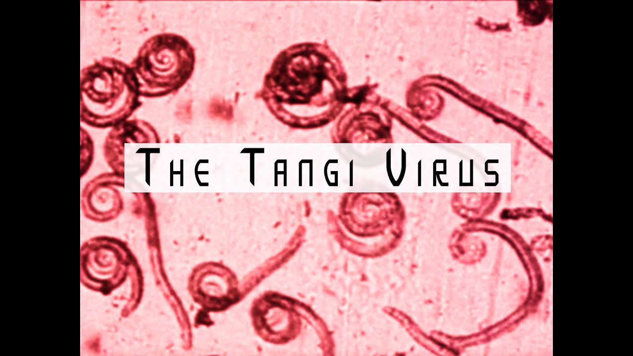 Analog Horror - The Tangi Virus