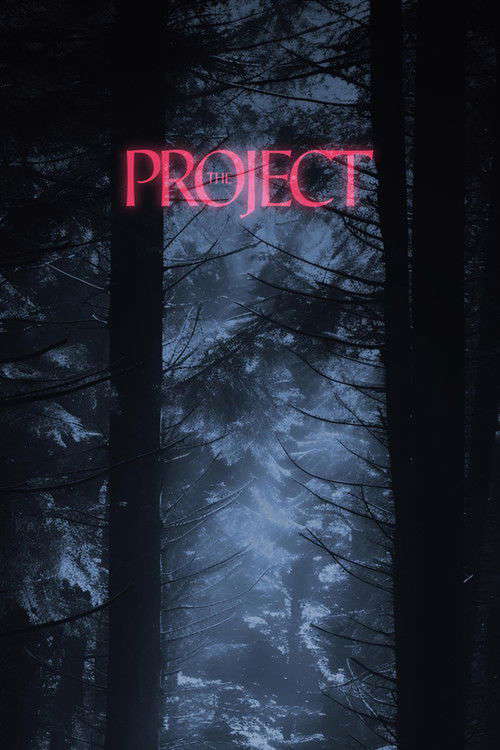 The Project poster