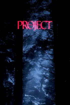The Project poster