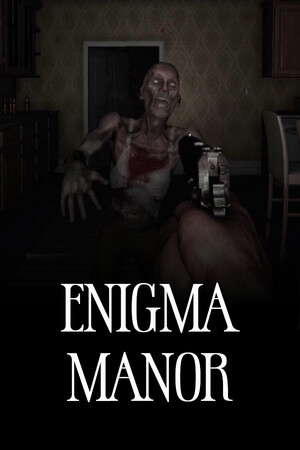 Enigma Manor poster