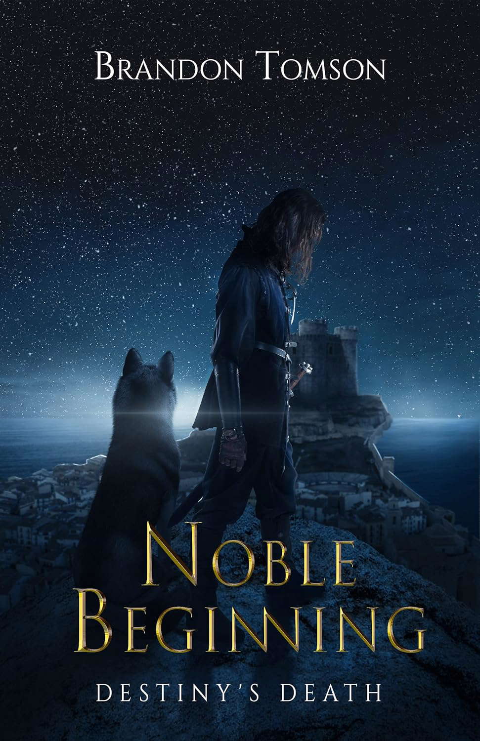 Noble Beginning: Destiny's Death poster