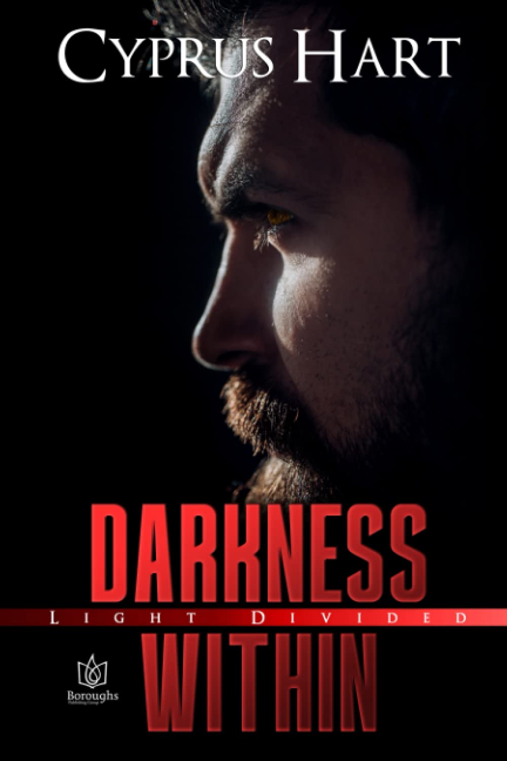 Darkness Within (Light Divided) poster