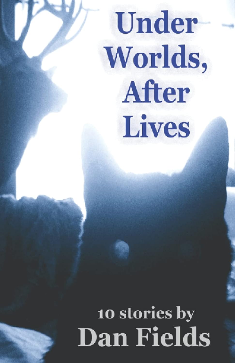 Under Worlds, After Lives: 10 Stories poster