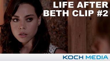 Zach Meets Beth poster