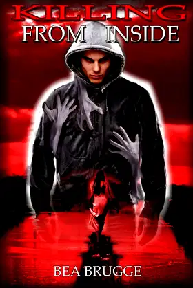 Killing from Inside poster