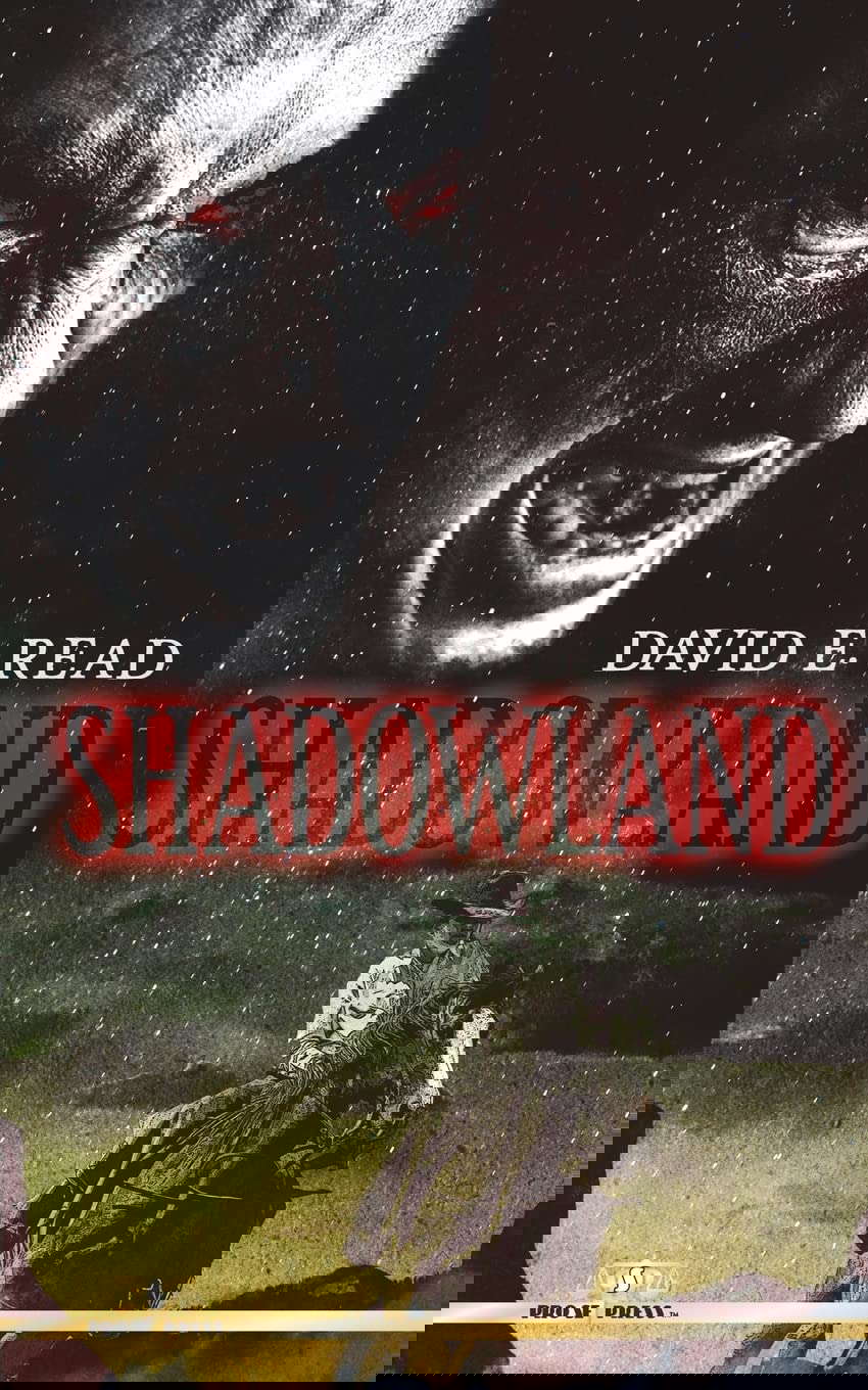 Shadowland poster