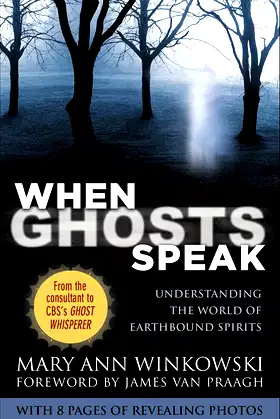 When Ghosts Speak: Understanding the World of Earthbound Spirits poster