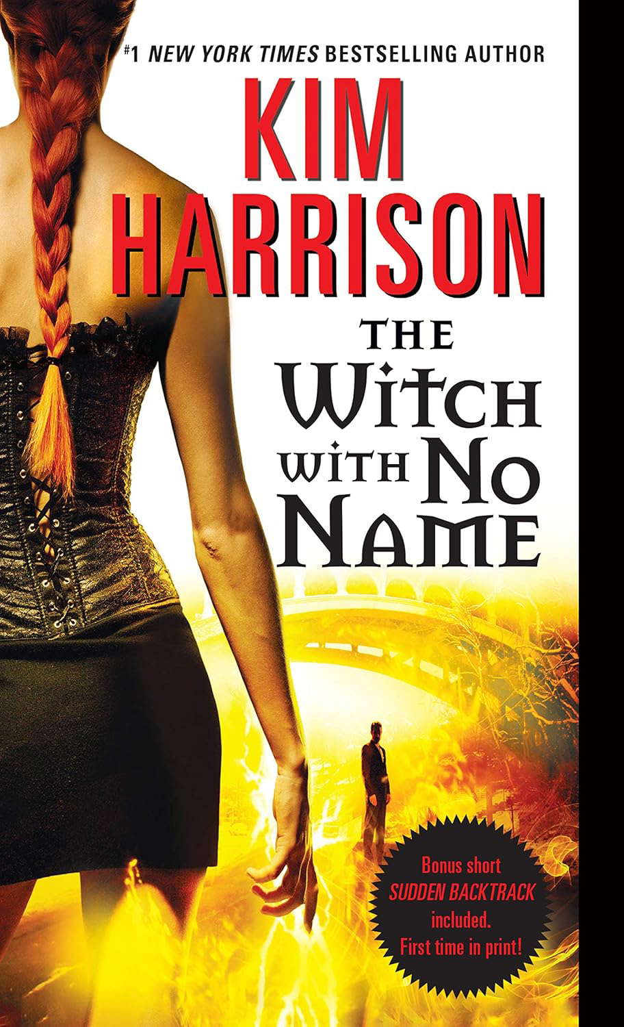 The Witch with No Name (Hollows, 13) poster