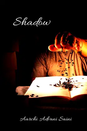 Shadow poster
