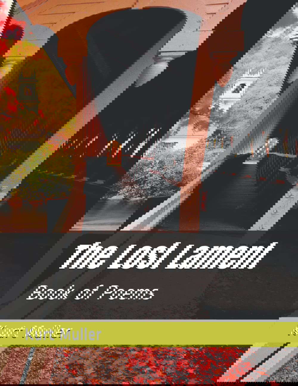 The Lost Lament: Book of Poems poster