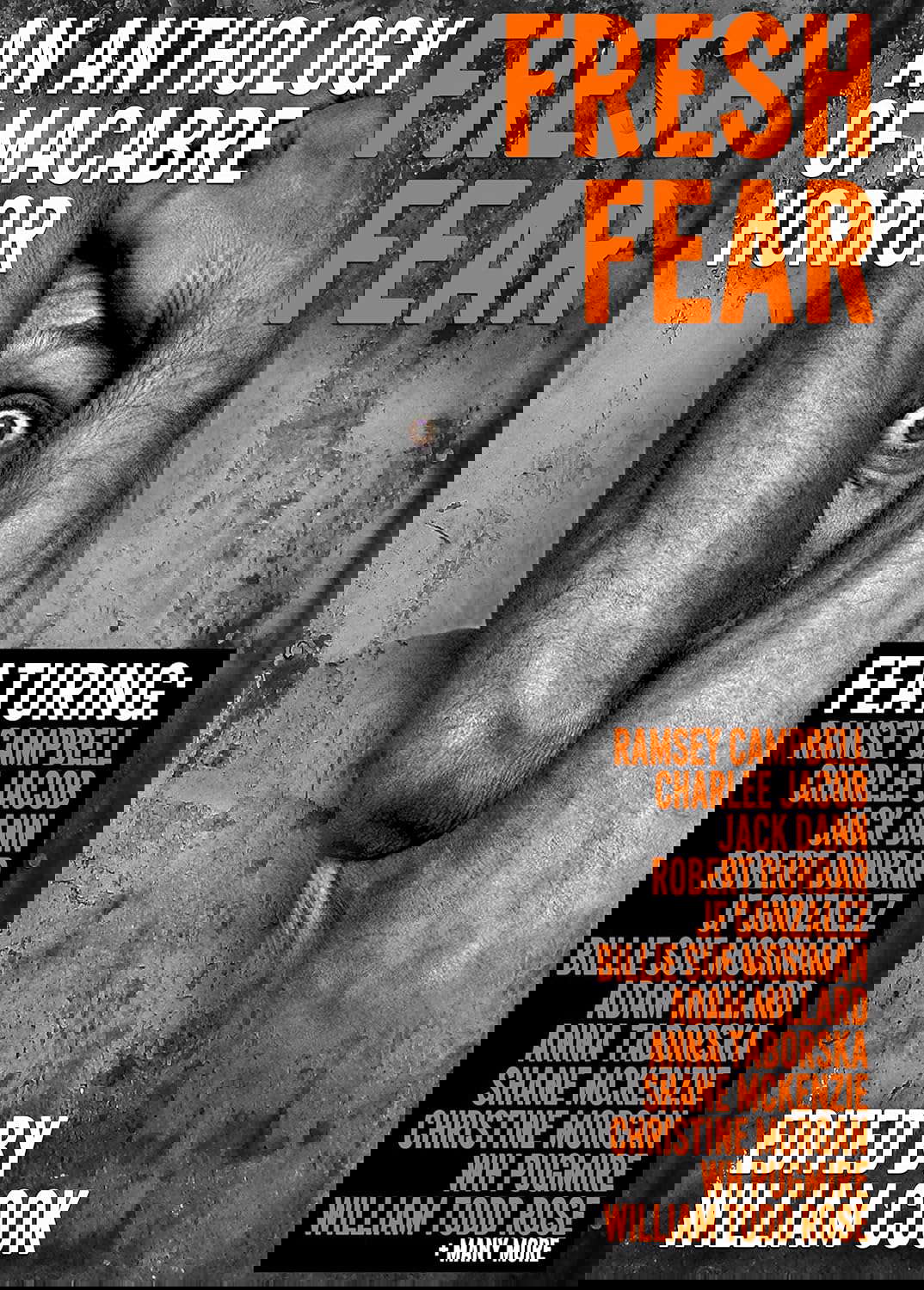 Fresh Fear: An Anthology of Macabre Horror poster
