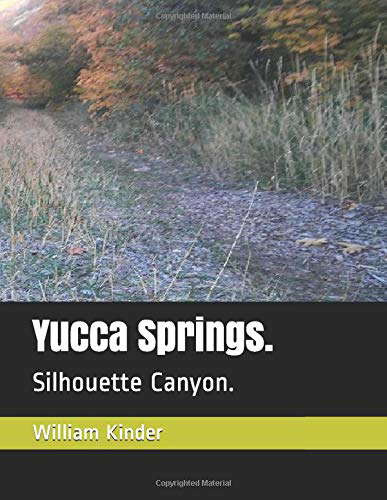 Yucca Springs.: Silhouette Canyon. (Hendrixville Chapters) poster