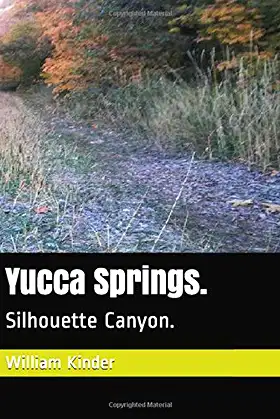 Yucca Springs.: Silhouette Canyon. (Hendrixville Chapters) poster
