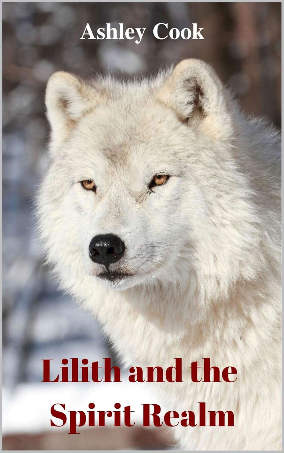 Lilith and the Spirit Realm poster
