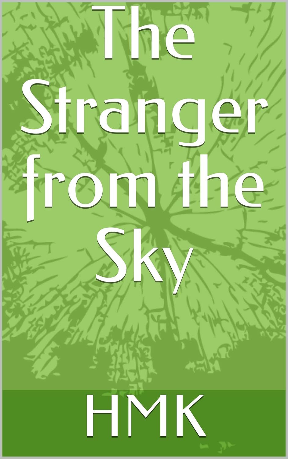 The Stranger from the Sky poster