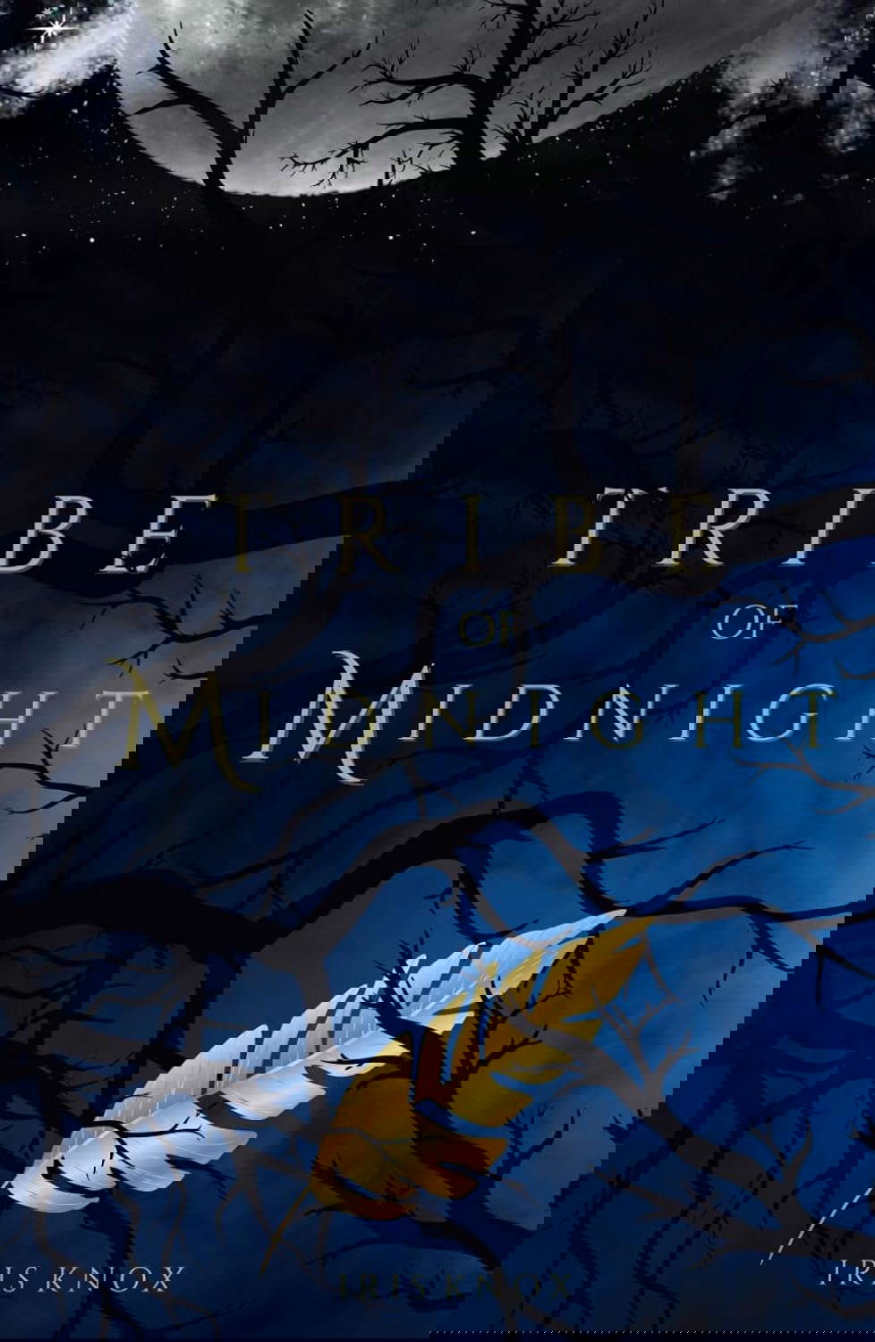 Tribe of Midnight (The Skygod Tribes Series) poster