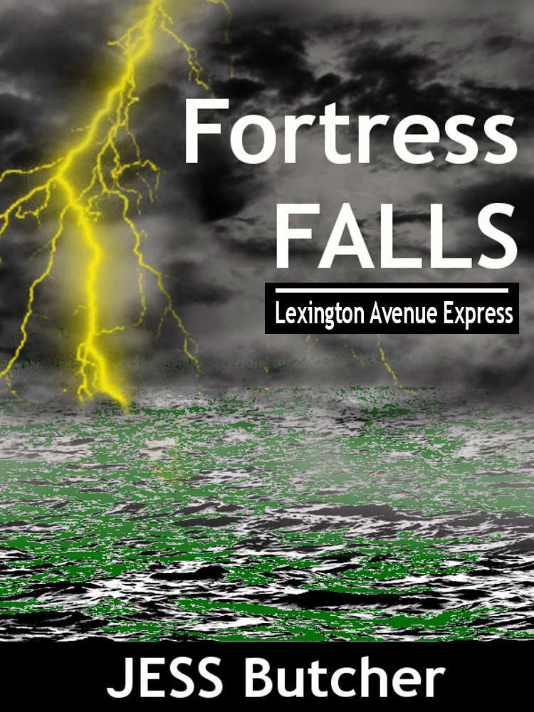 Fortress FALLS (Lexington Avenue Express Book 32) poster
