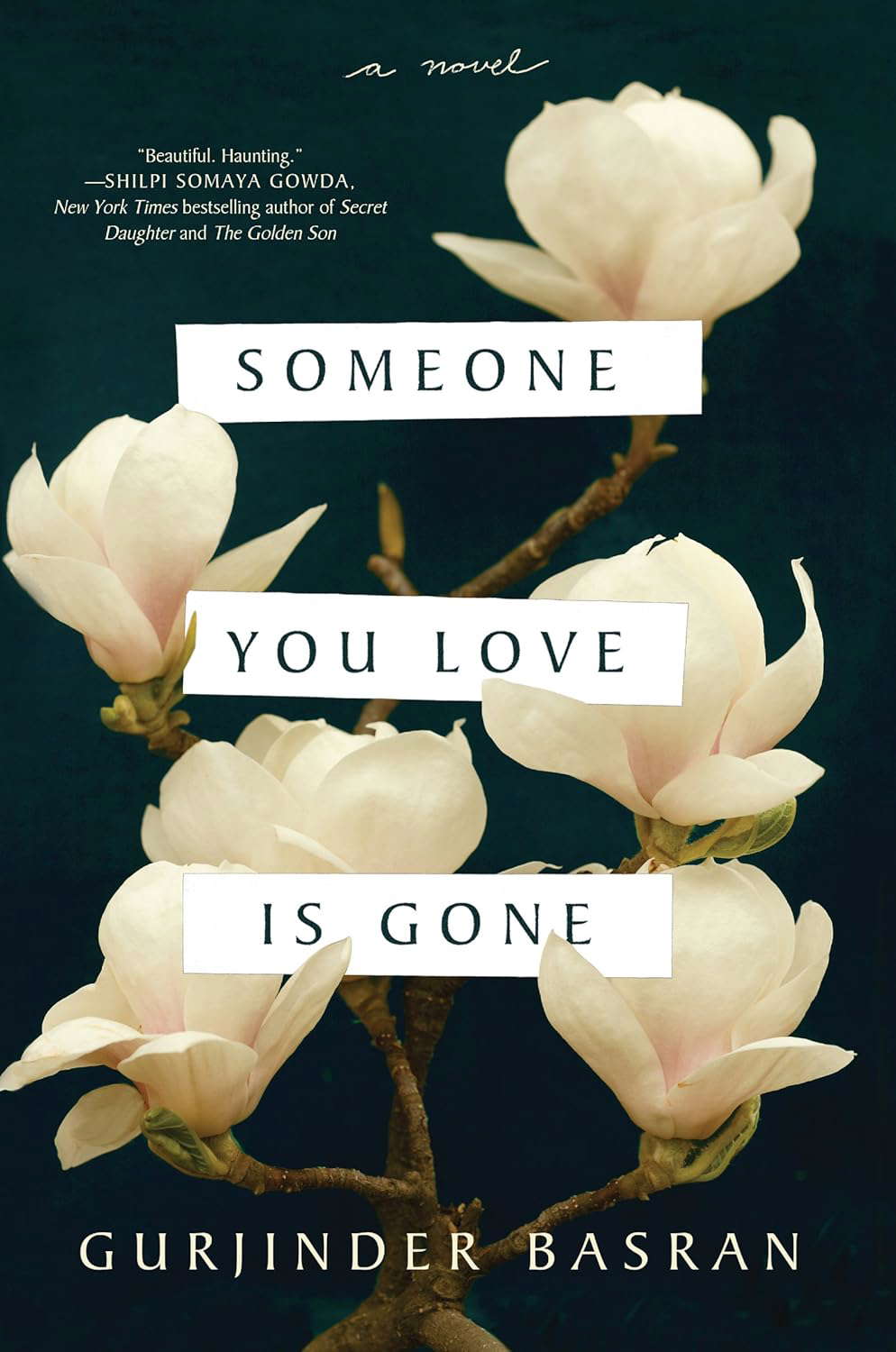 SOMEONE YOU LOVE GONE poster