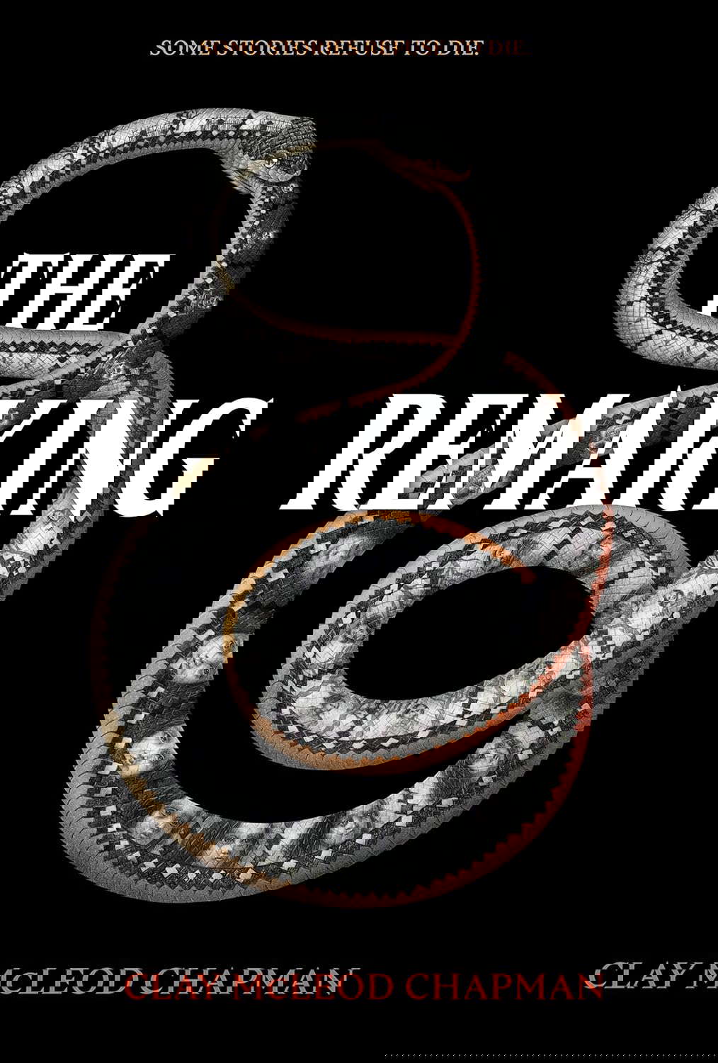 The Remaking: A Novel poster