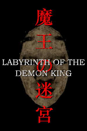 Labyrinth Of The Demon King poster