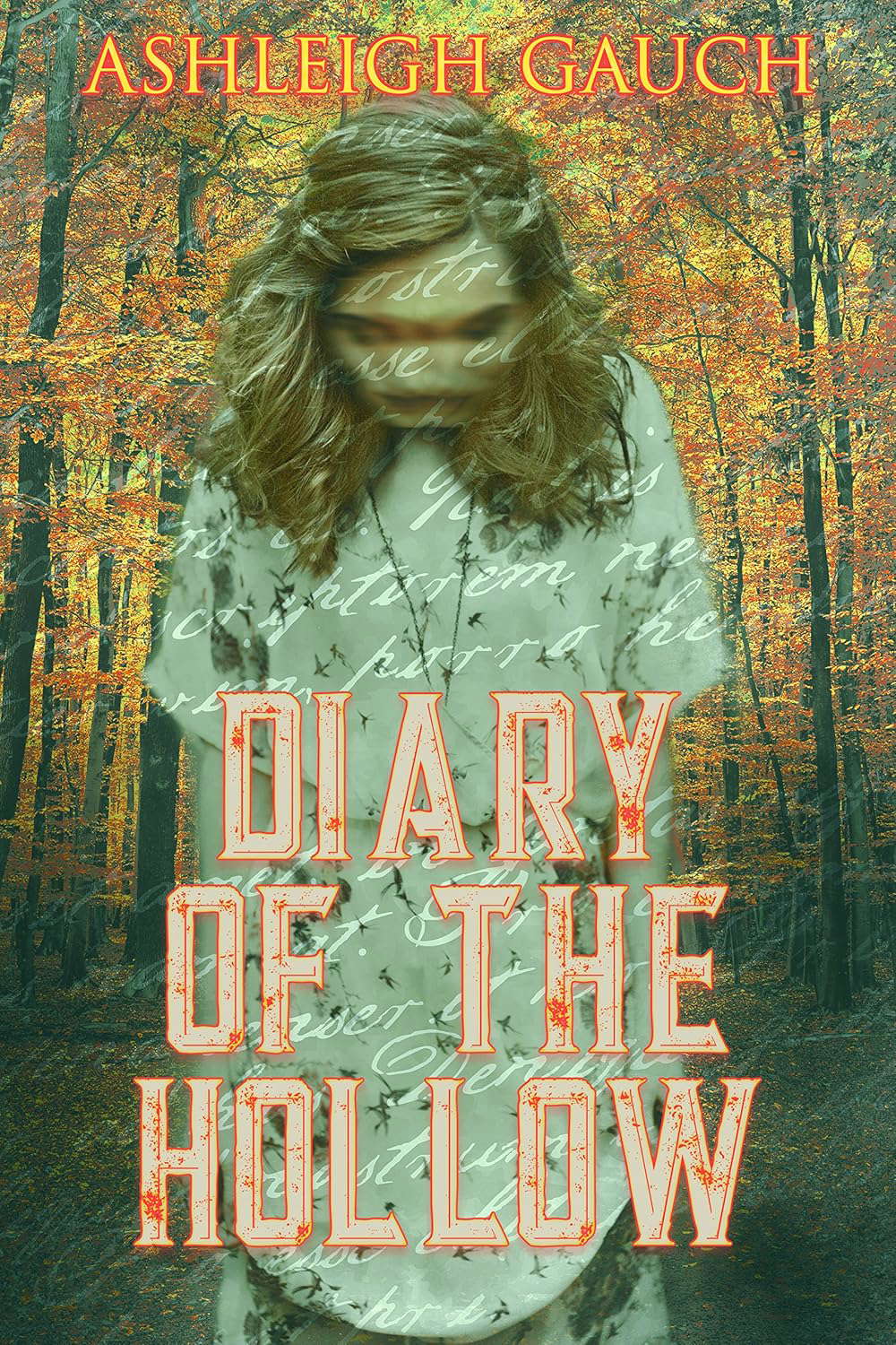 Diary of the Hollow (Chronicles of a Drowsy God Book 0) poster