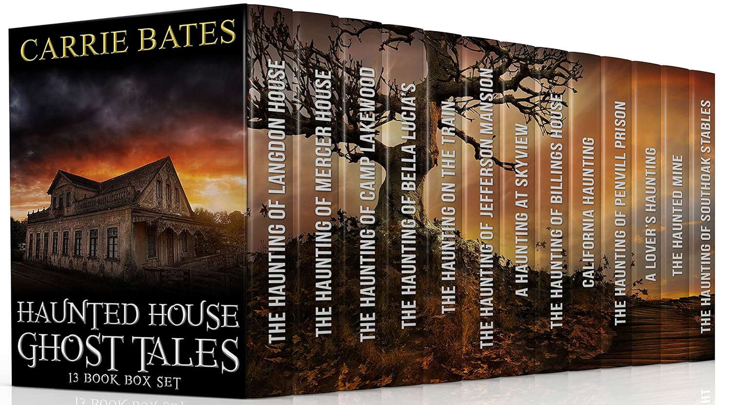 Haunted House Ghost Tales: 13 Book Box Set poster