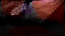 episode poster
