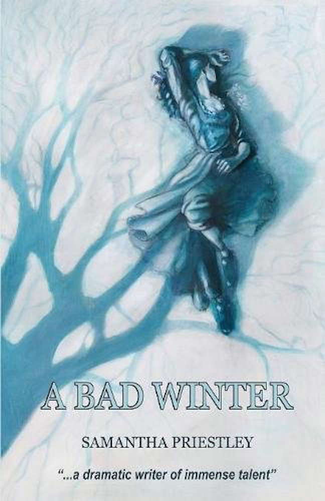 A Bad Winter poster